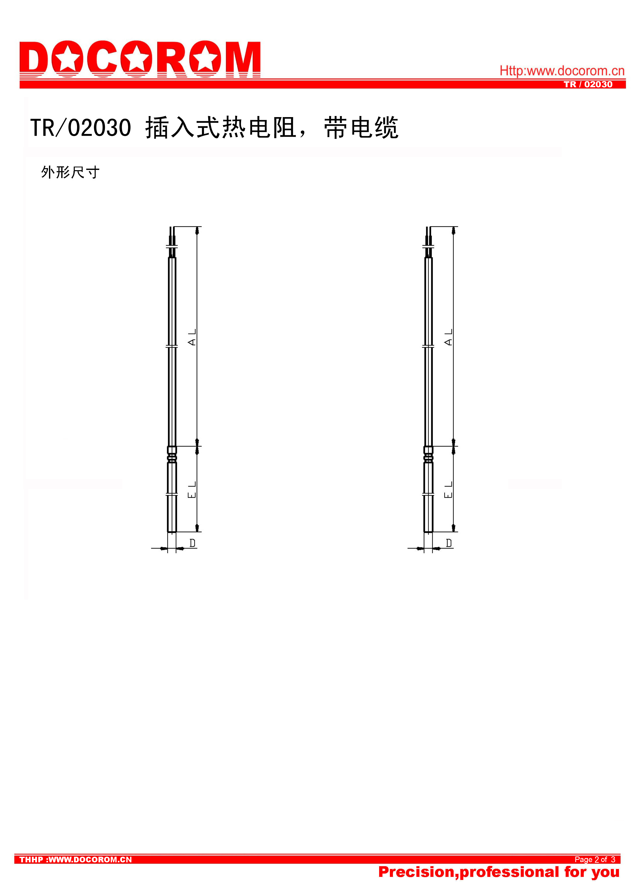 TR02030-插入式熱電阻，帶電纜-2.jpg